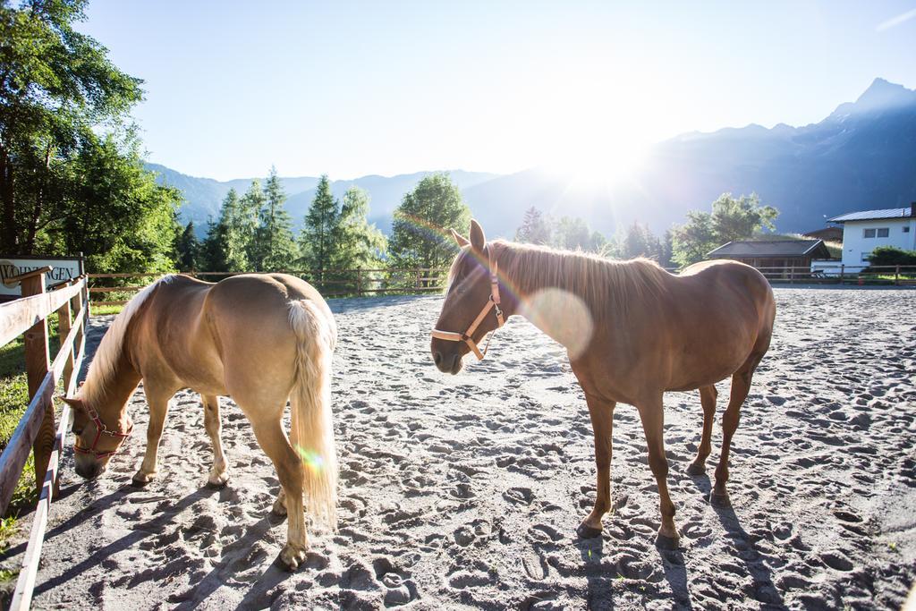 Ferienwohnungen Oetztal Sautens Exterior foto