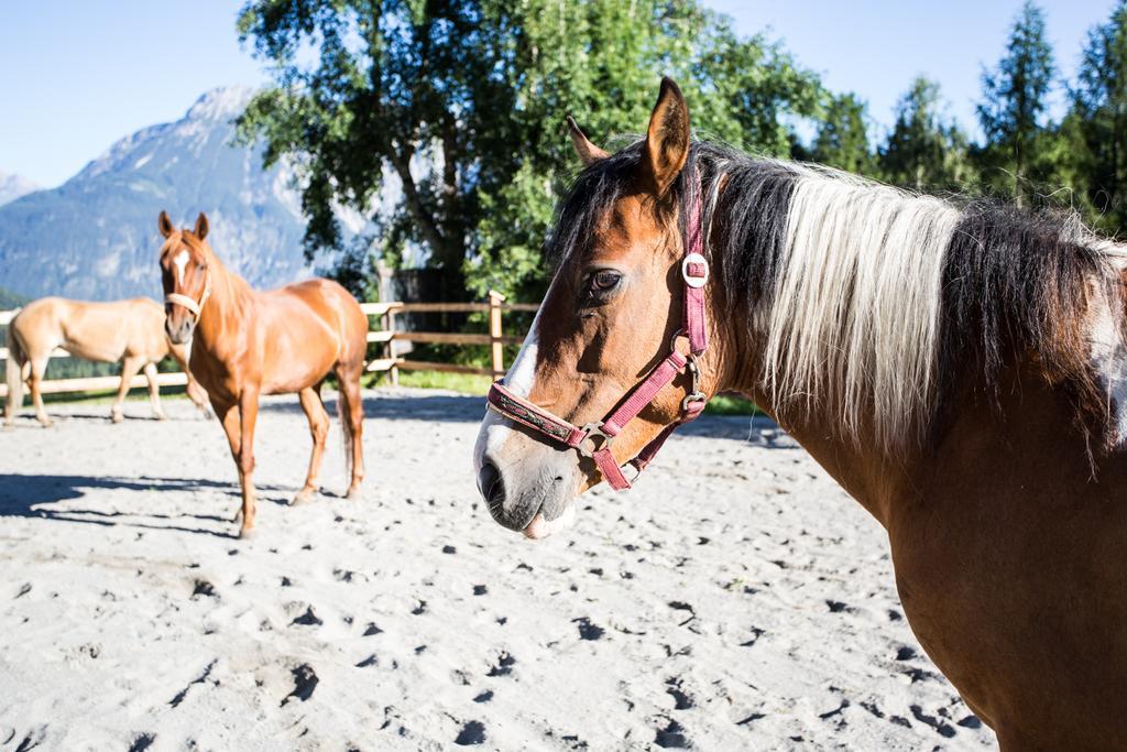Ferienwohnungen Oetztal Sautens Exterior foto
